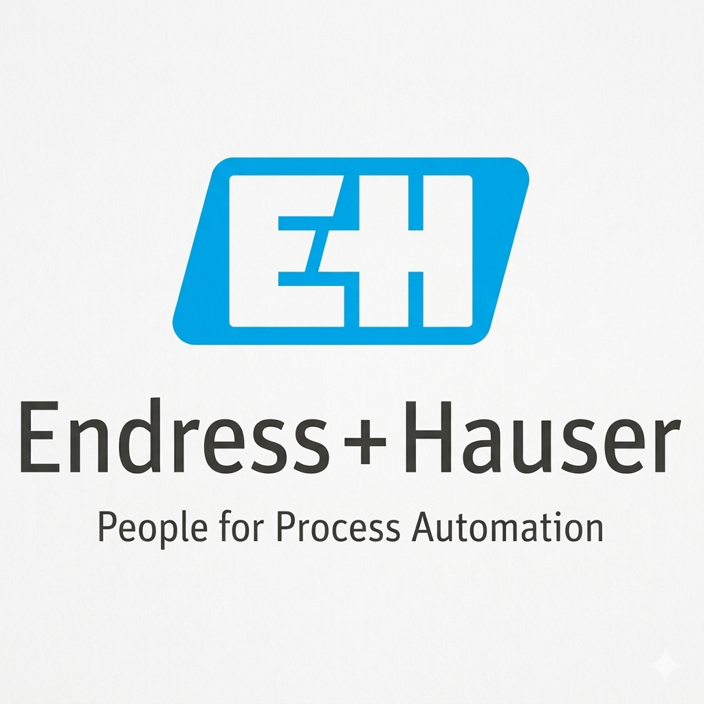 Endress + Hauser
